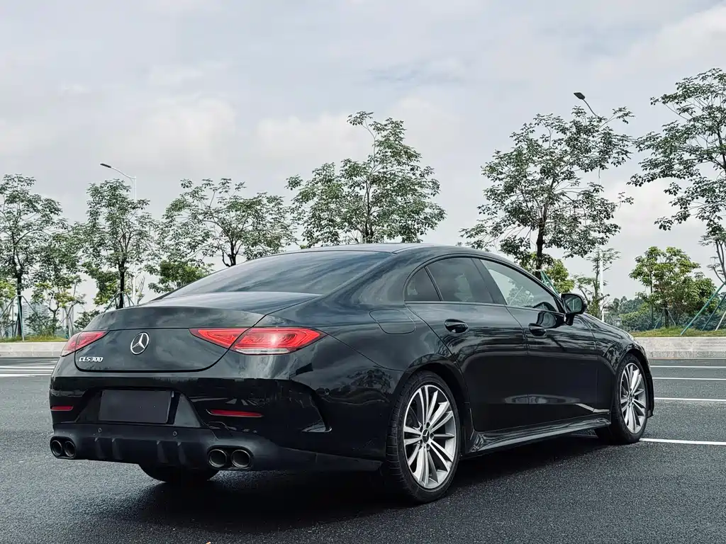 Mercedes-Benz CLS 2018 CLS 300 Luxury