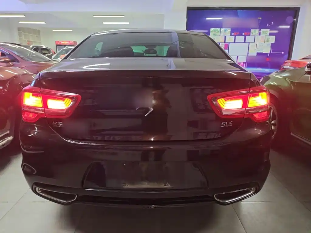 DS DS 5LS — миниатюра 6