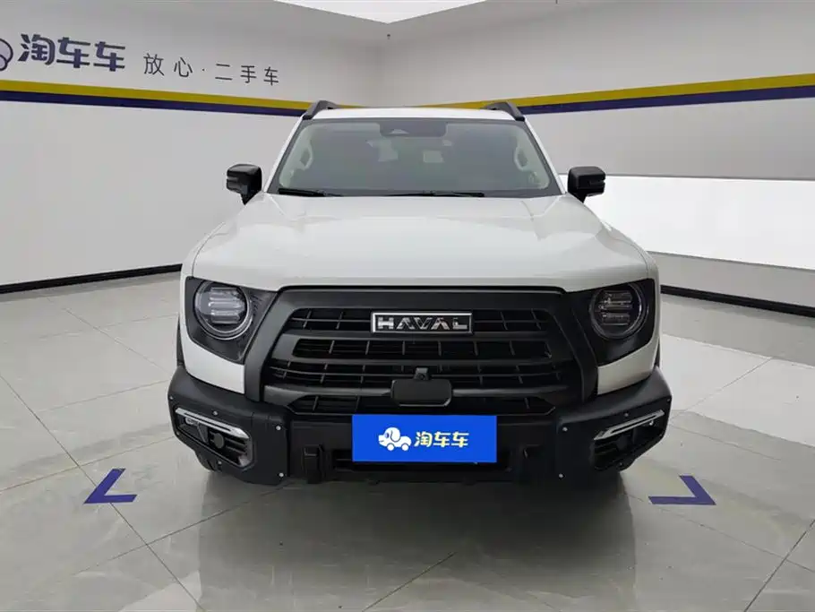 HAVAL BIG DOG