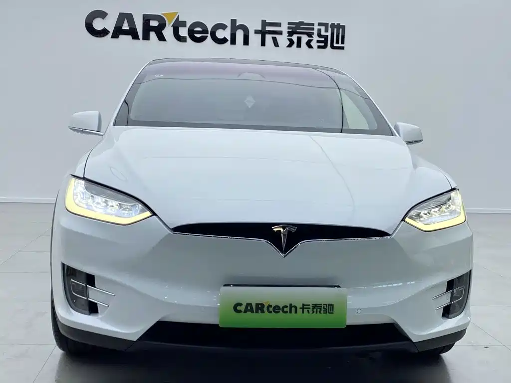 Tesla Model X — миниатюра 2