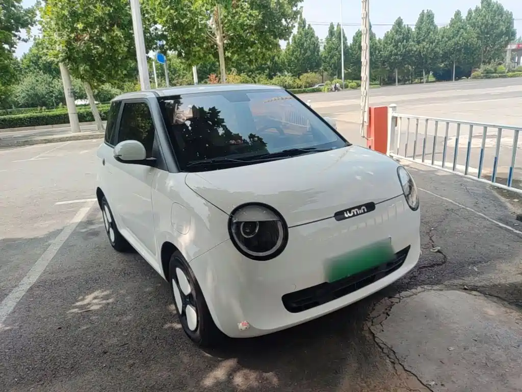 Qiyuan Lumin — миниатюра 4