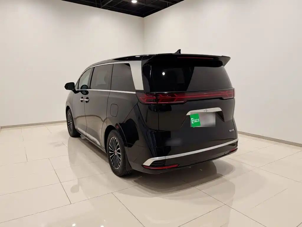 Denza Denza D9 — миниатюра 4