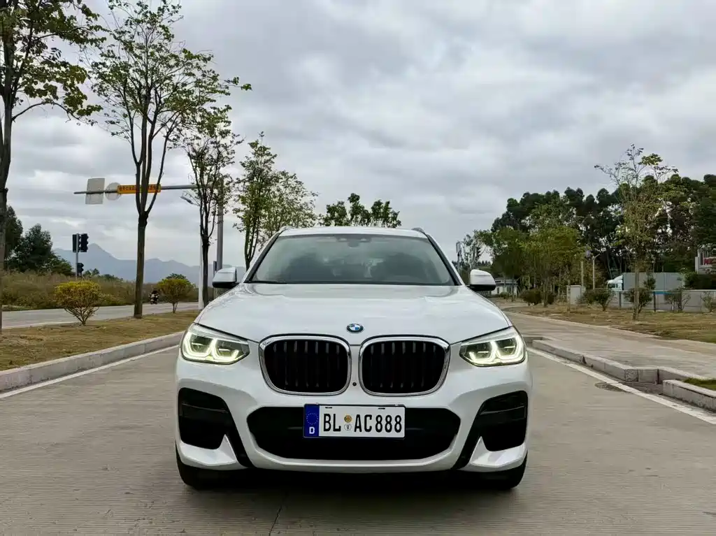BMW X3 — миниатюра 2