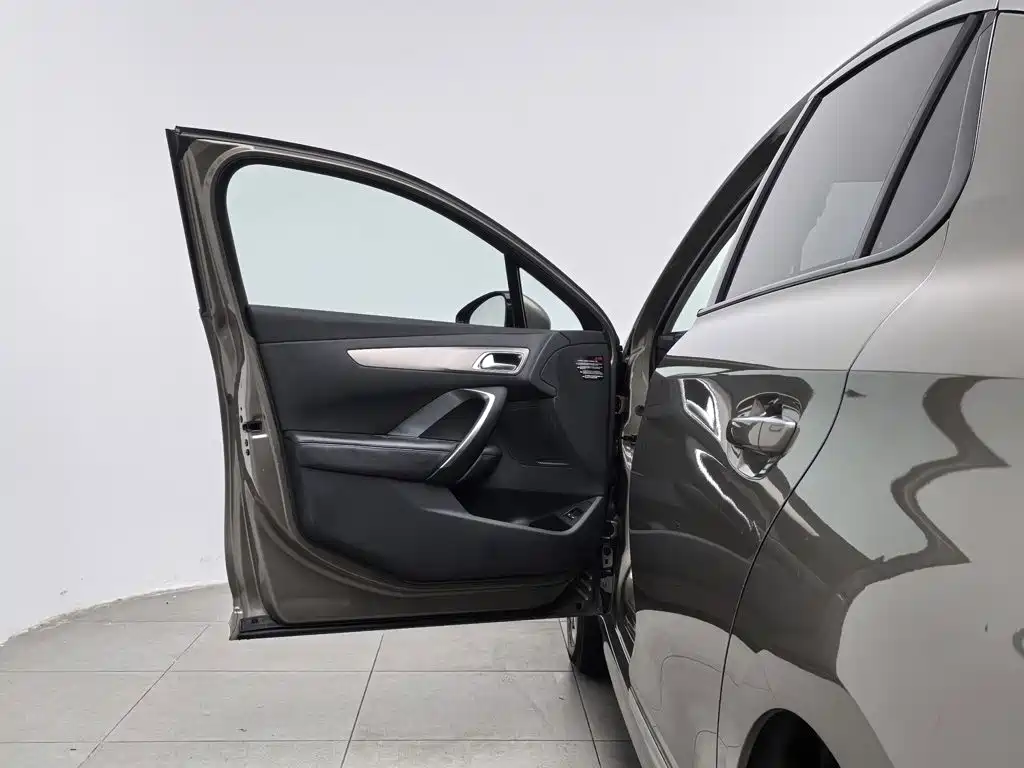 DS DS 5LS — миниатюра 8
