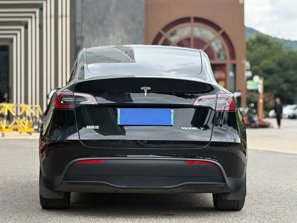 Tesla Model Y — миниатюра 7