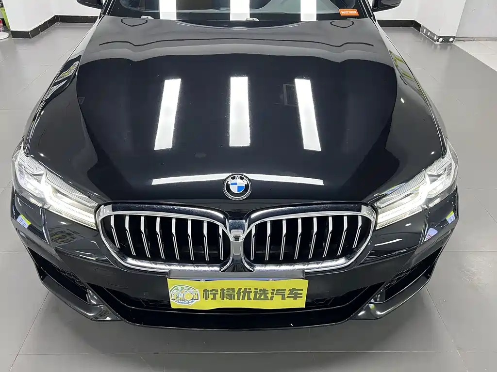 BMW 5 Series (Import) — миниатюра 8