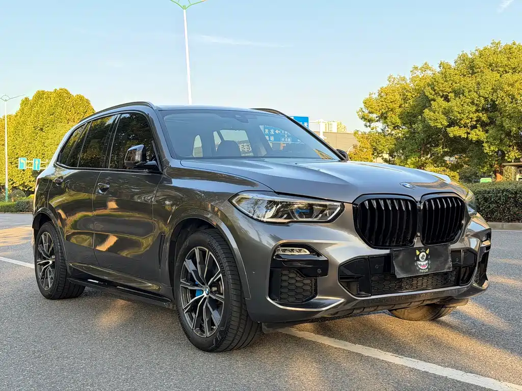 BMW X5 (Import) — миниатюра 3