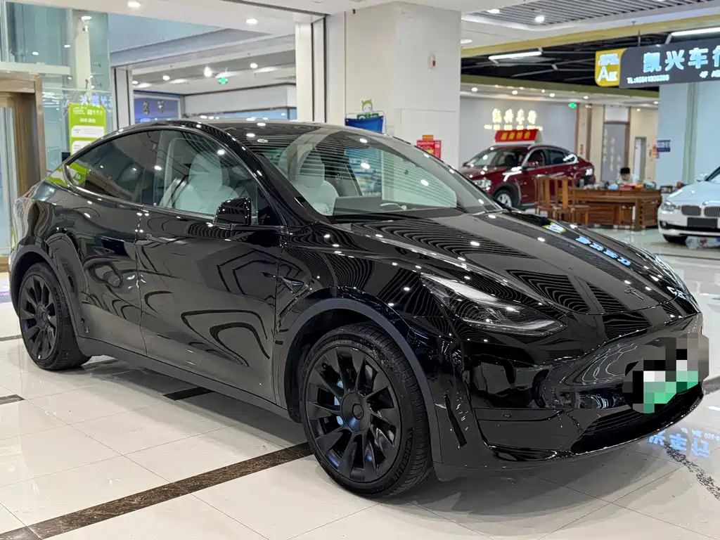 Tesla Model Y — миниатюра 3