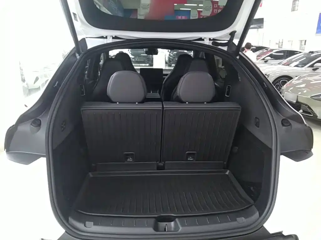 Tesla Model Y L — миниатюра 19