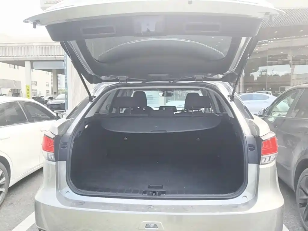 Lexus RX — миниатюра 19