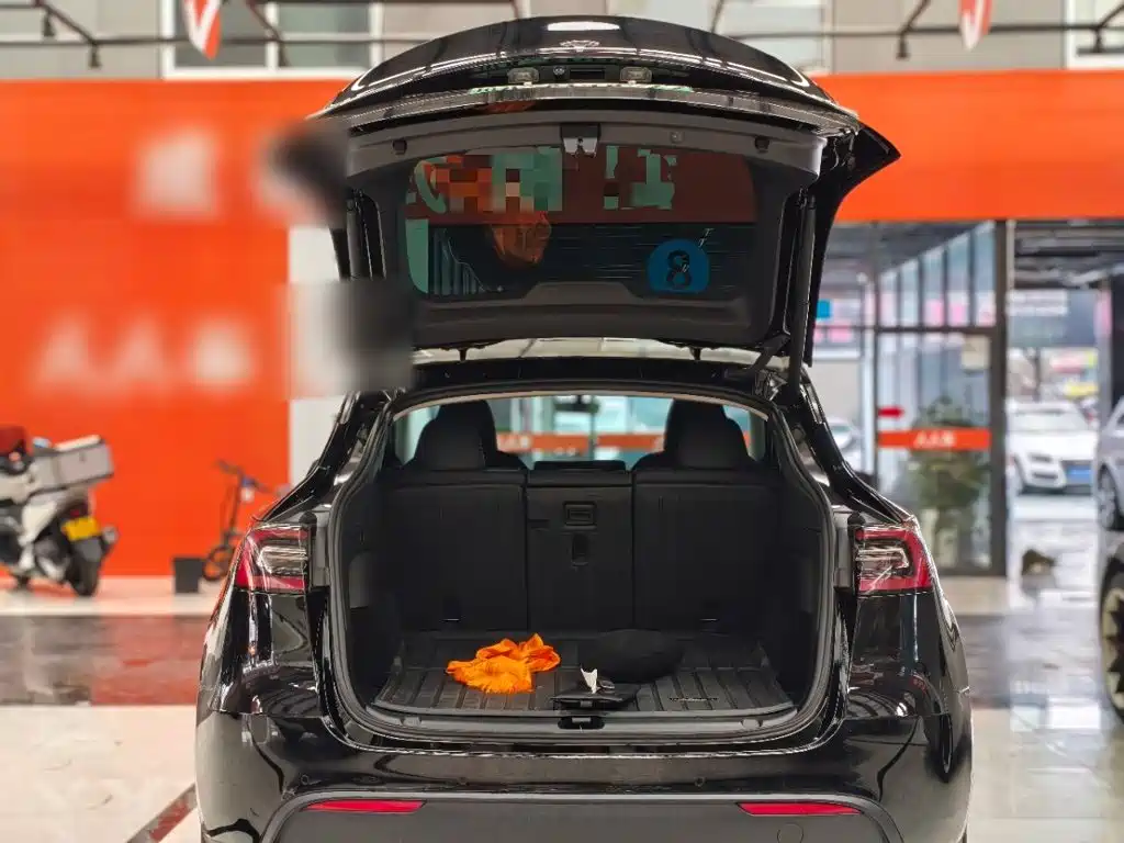 Tesla Model Y — миниатюра 19