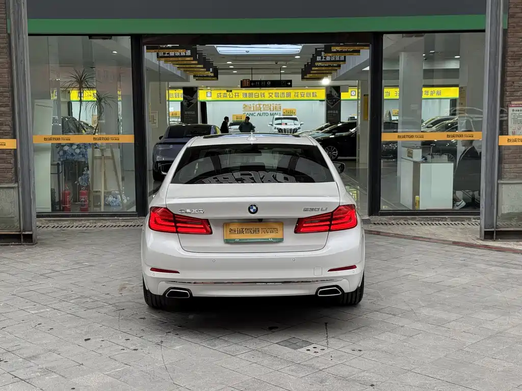 BMW 5 Series — миниатюра 5