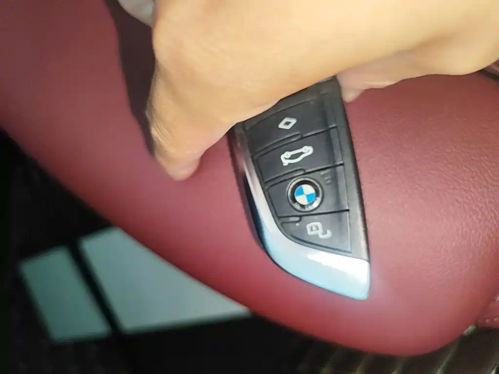 BMW 3 Series 3 2022 325Li M Sport