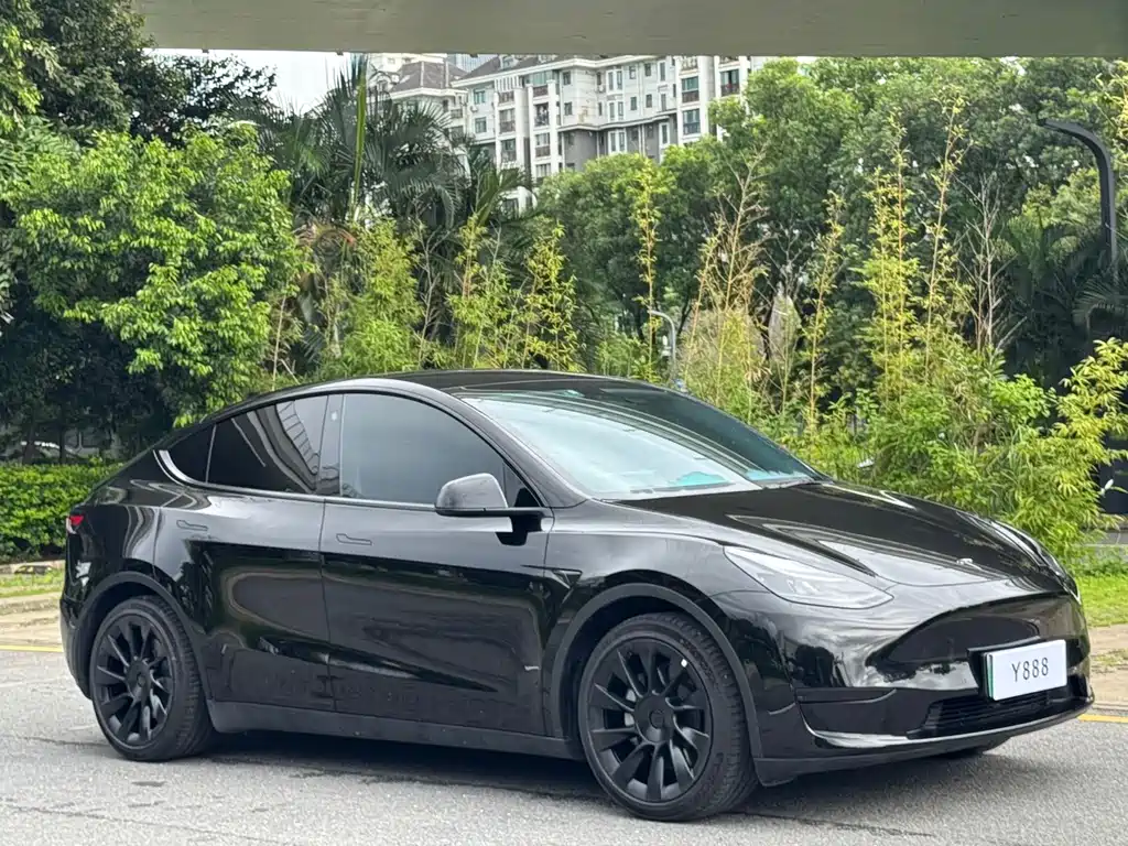 Tesla Model Y — миниатюра 2