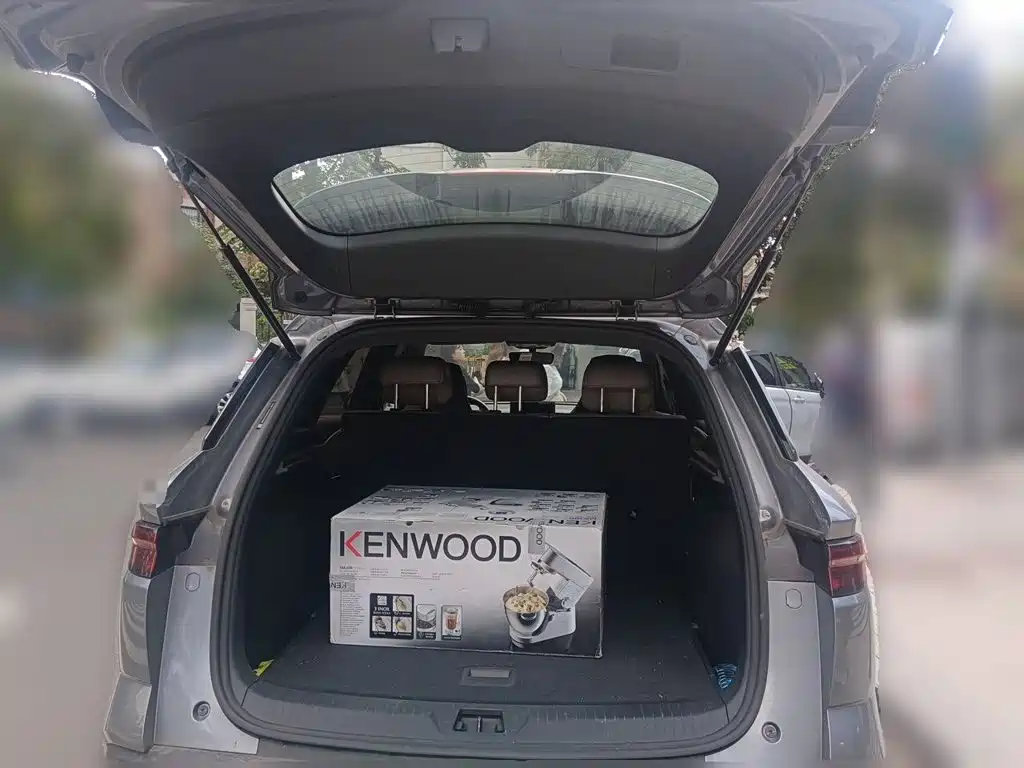 BYD Pro New Energy — миниатюра 15