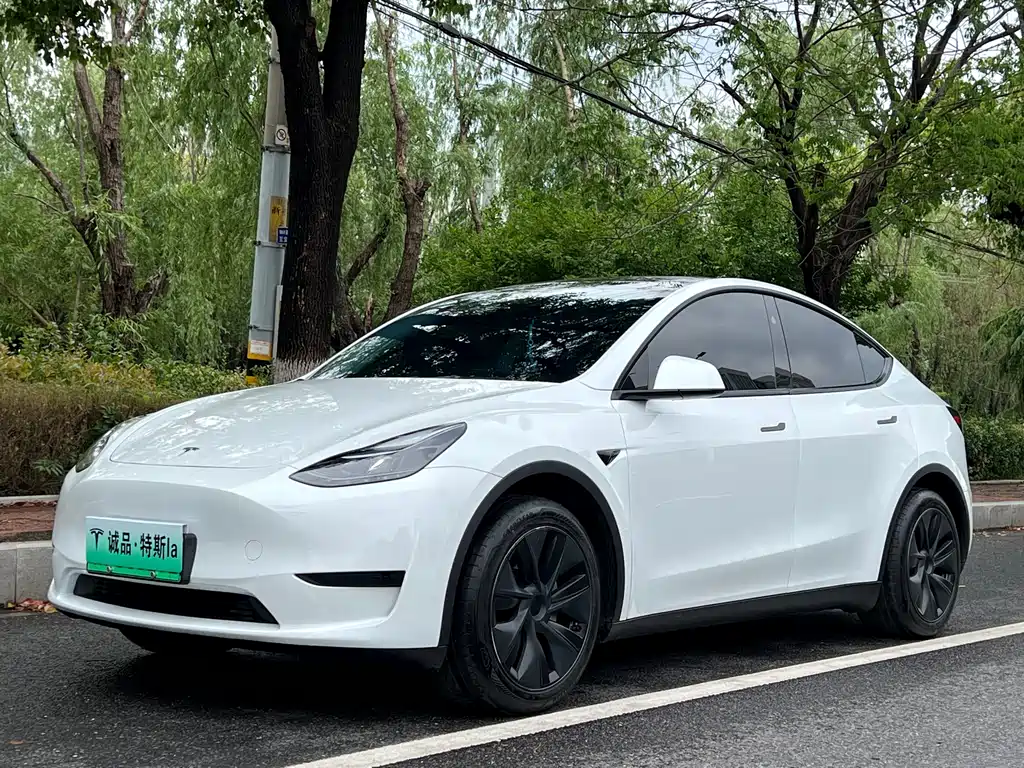Tesla Model Y 2024