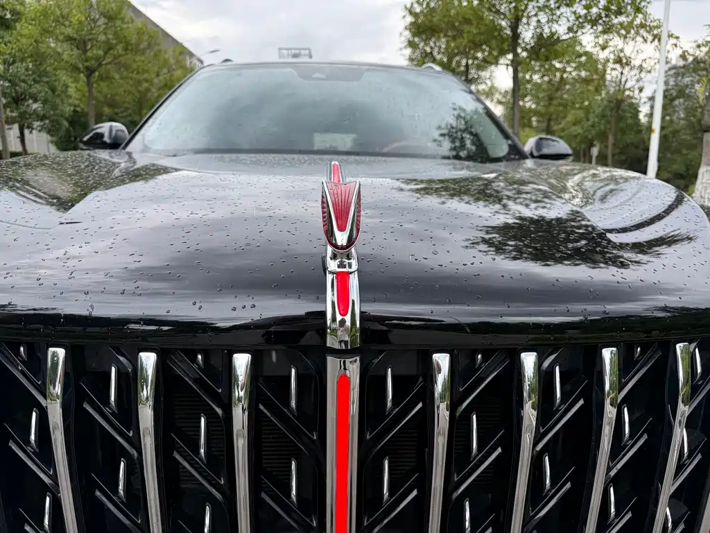Hongqi Hongqi HS5 — миниатюра 4