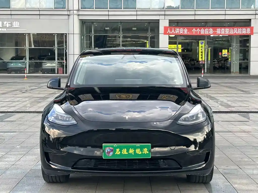 Tesla Model Y — миниатюра 2