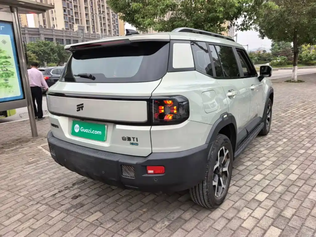 Shanhai Shanhai T1 — миниатюра 7