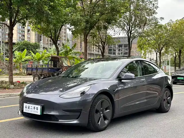 TESLA MODEL 3 2021