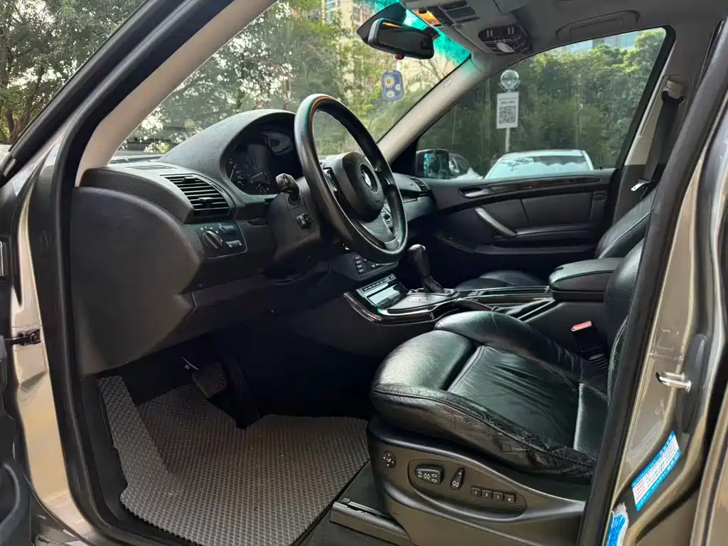 BMW X5 (Import) — миниатюра 4