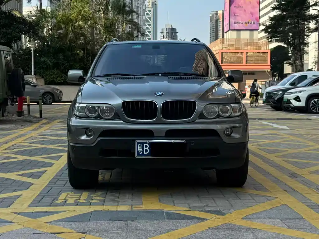 BMW X5 (Import) — миниатюра 2