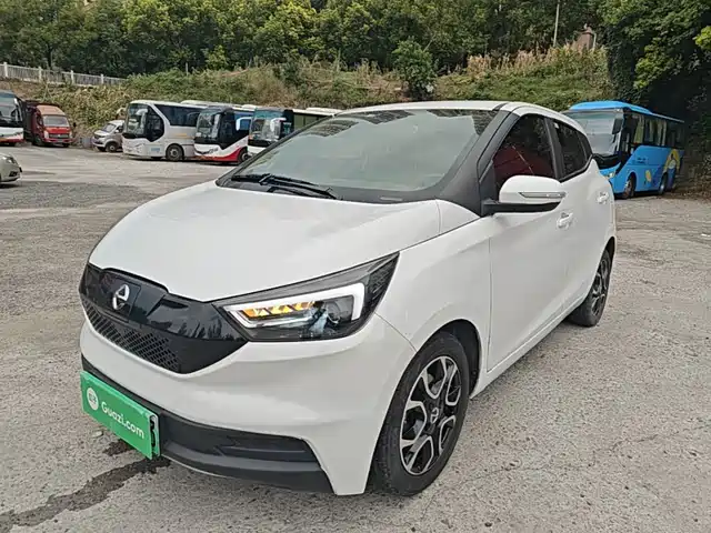 2022 JMEV EV3