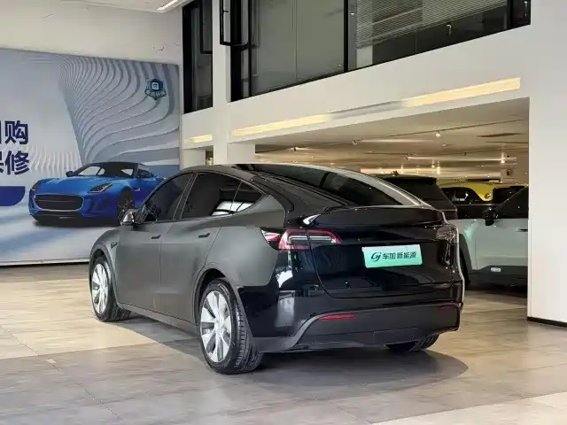 Tesla Model Y — миниатюра 9