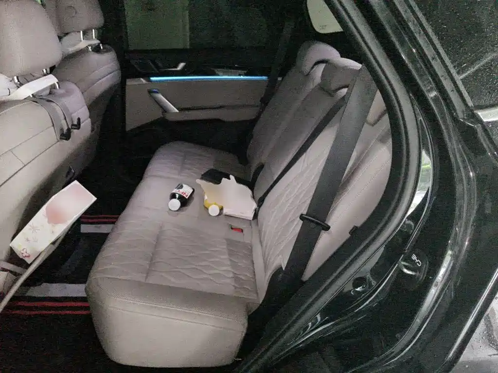 BYD Tang New Energy — миниатюра 14