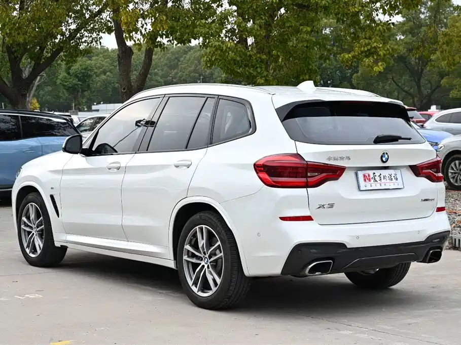 BMW X3 2018 xDrive30i Lead M Sport V