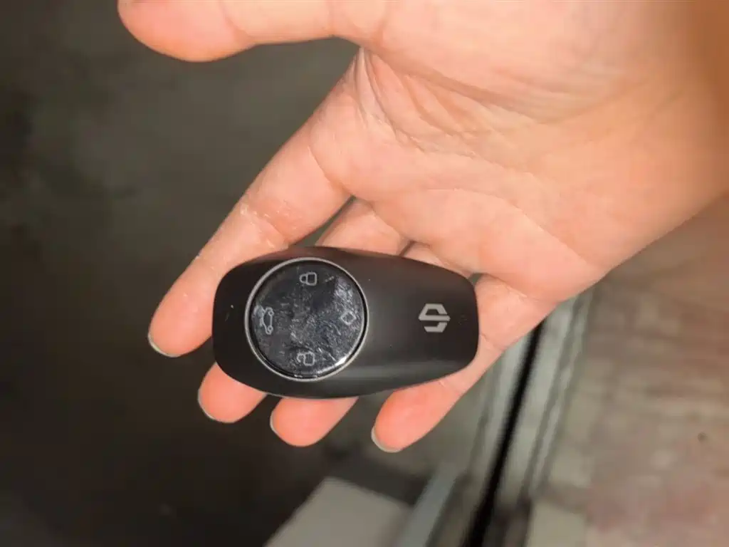Leapmotor T03 2025 310