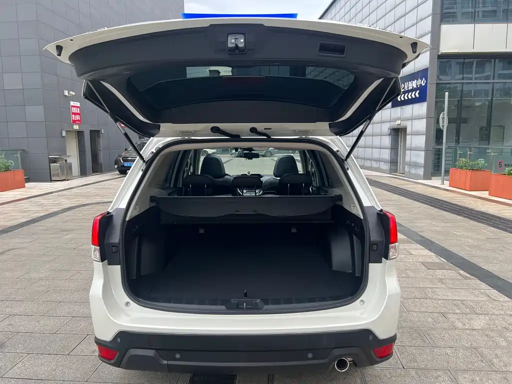 Subaru Forester — миниатюра 10