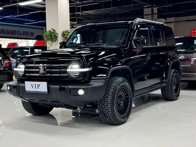 2024 TANK 300