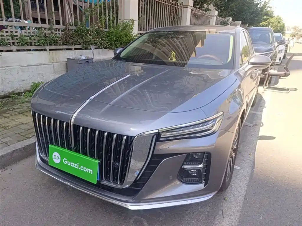 Hongqi H5 2024 2.0T AT