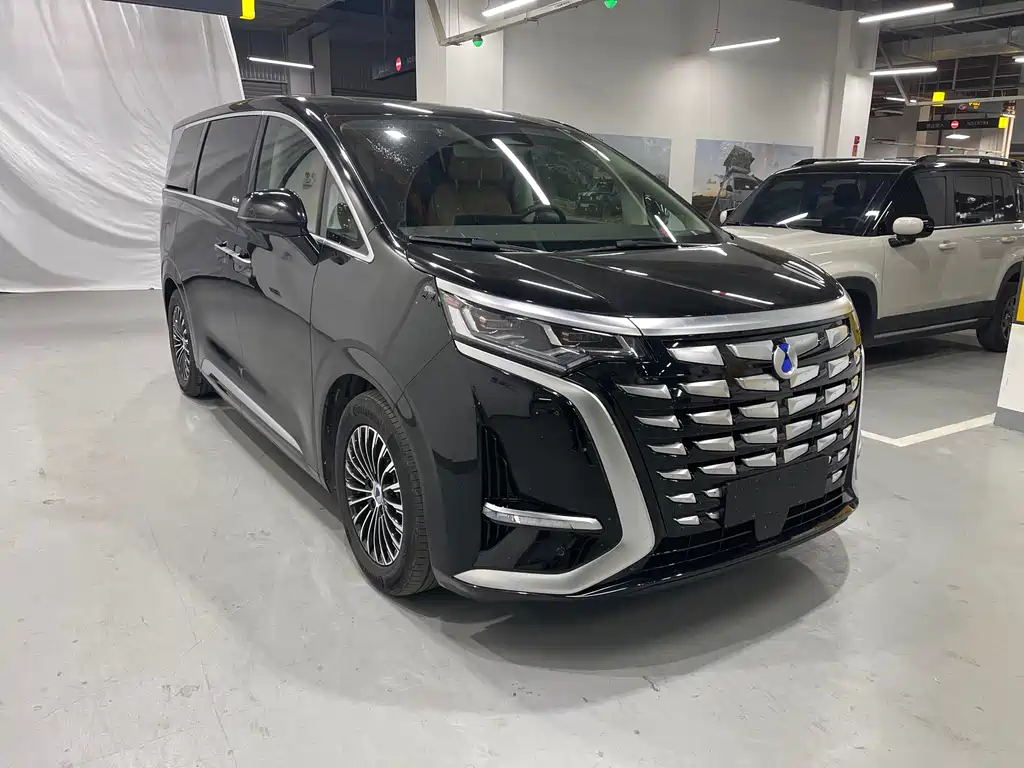 Denza D9 DM-i 1050 Premium Type, фото 3