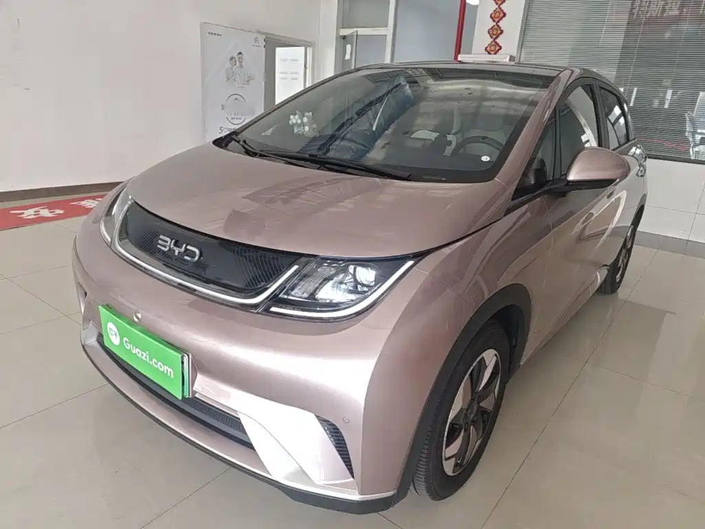 BYD Dolphin
