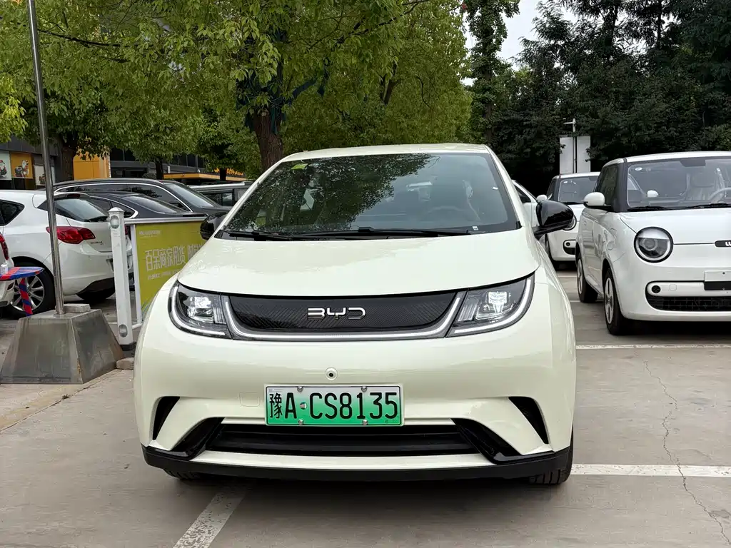 BYD Dolphin 2025 420km Freedom