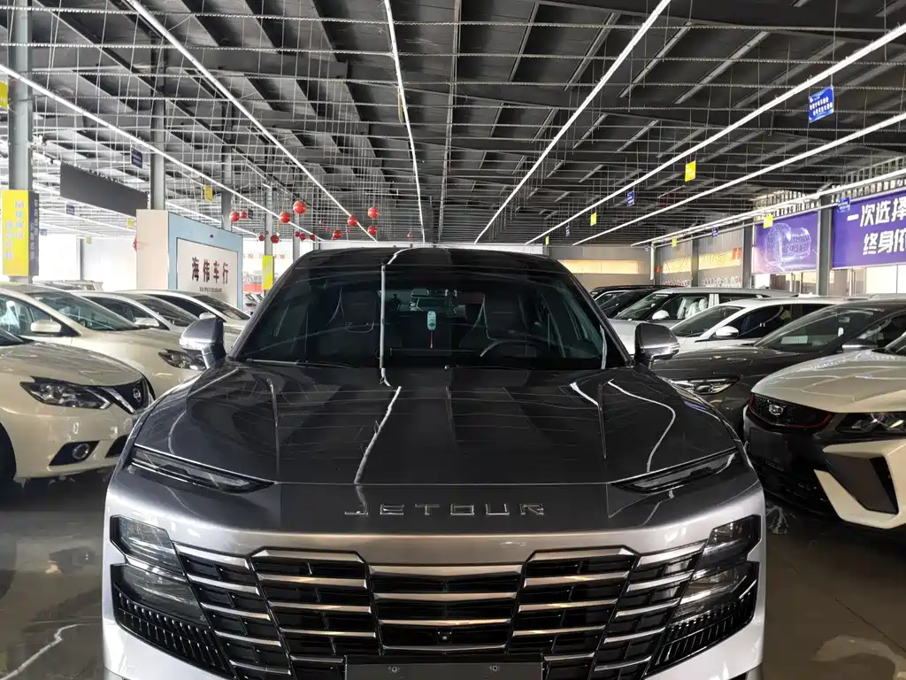 Jetour Dasheng i-DM — миниатюра 2