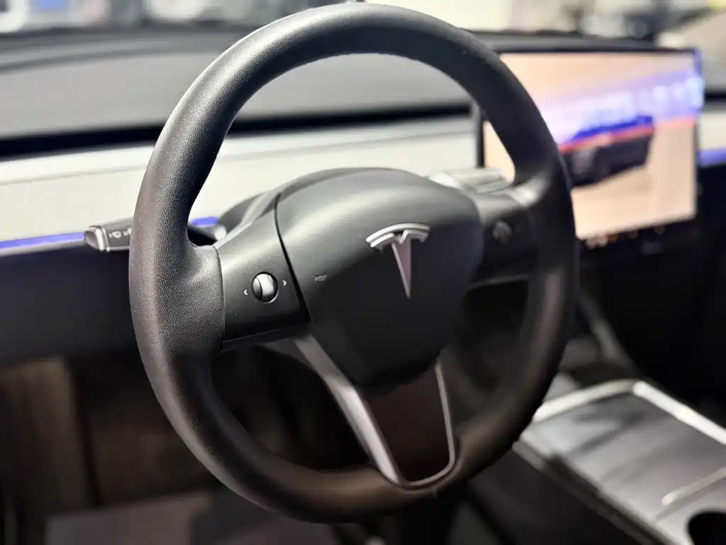 Tesla Model Y — миниатюра 10