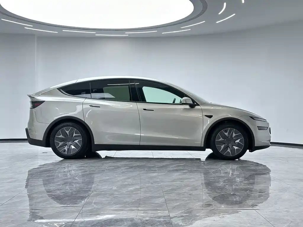 Tesla Model Y L