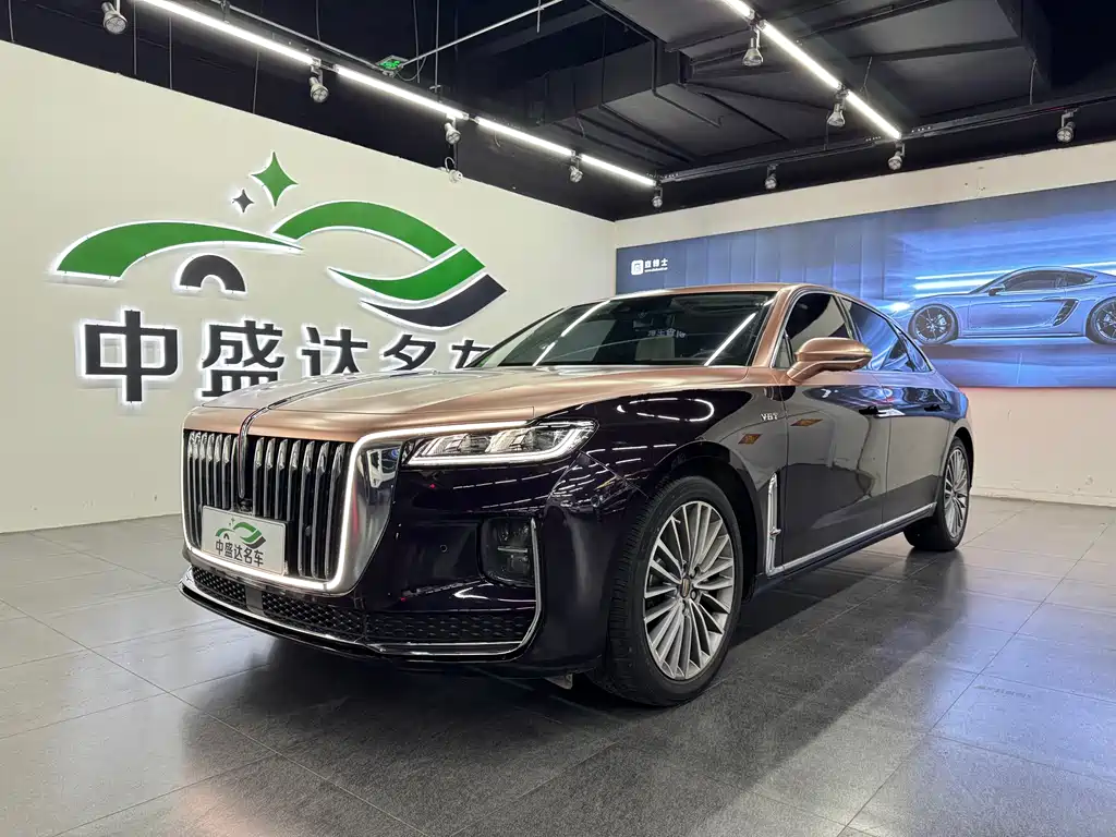 Hongqi Hongqi H9 2021