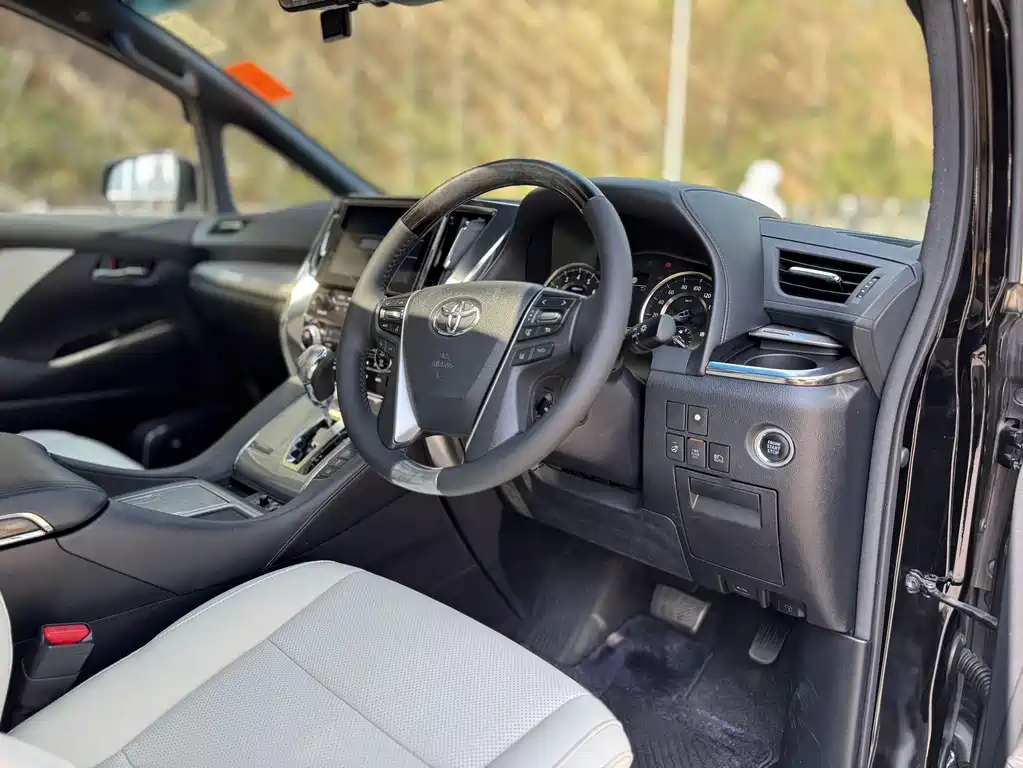 Toyota Alphard - фото 12