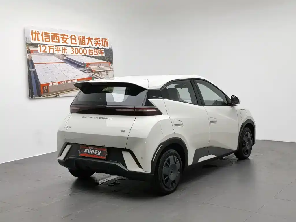 BYD Seagull