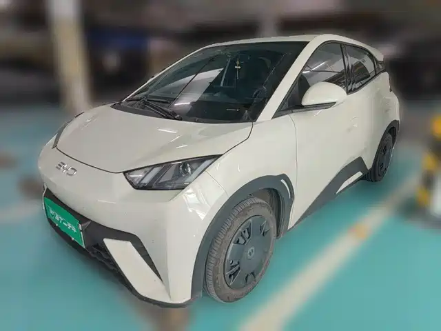2024 BYD Seagull