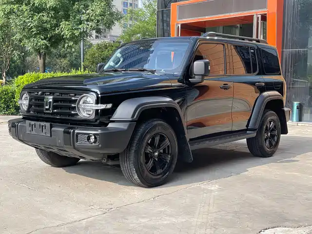 Tank 300