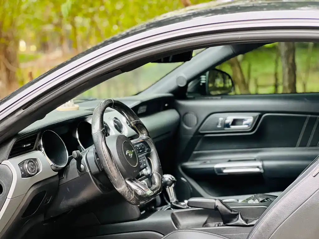 Ford Mustang — миниатюра 11