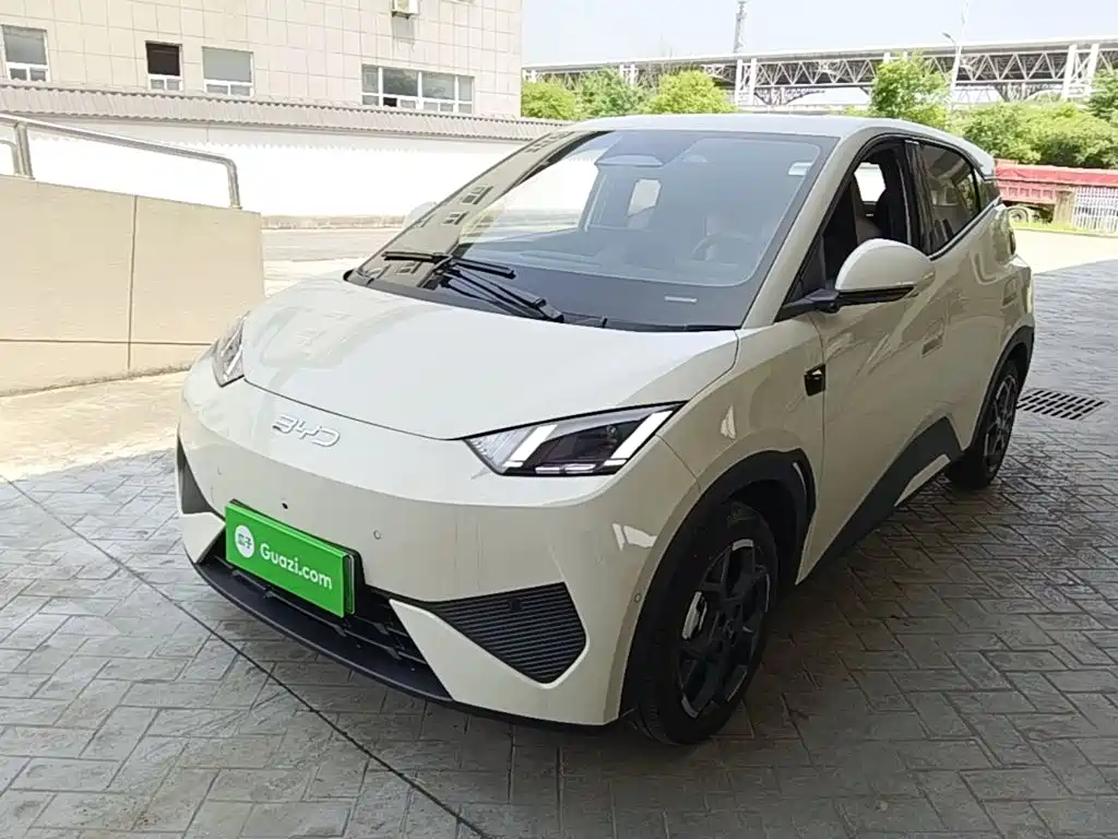 BYD Seagull 2025 Smart Drive 305km Freedom