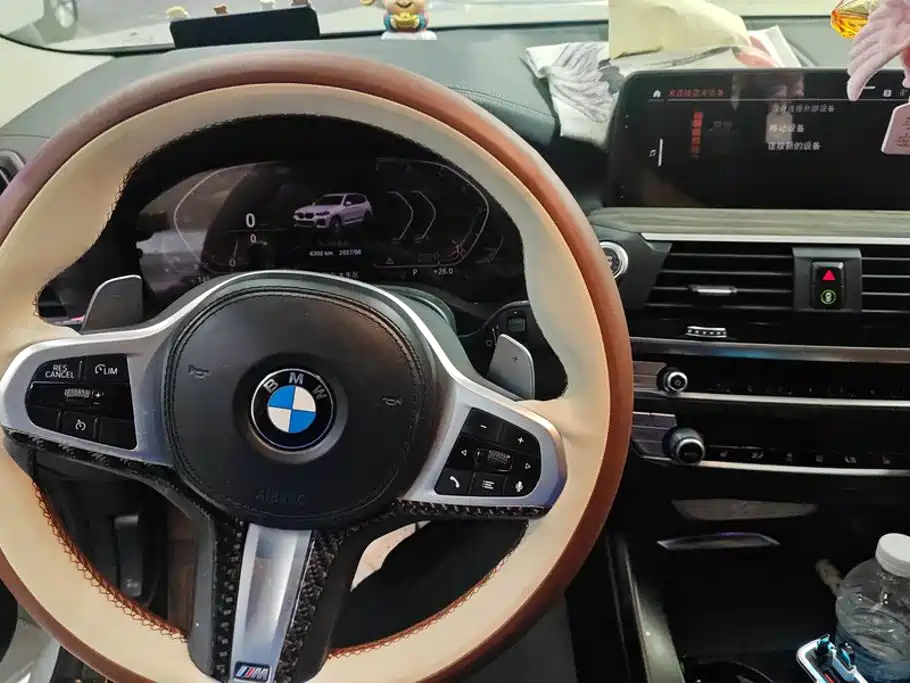 BMW X3 — миниатюра 12