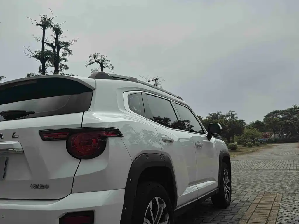Haval Big Dog PLUS — миниатюра 23