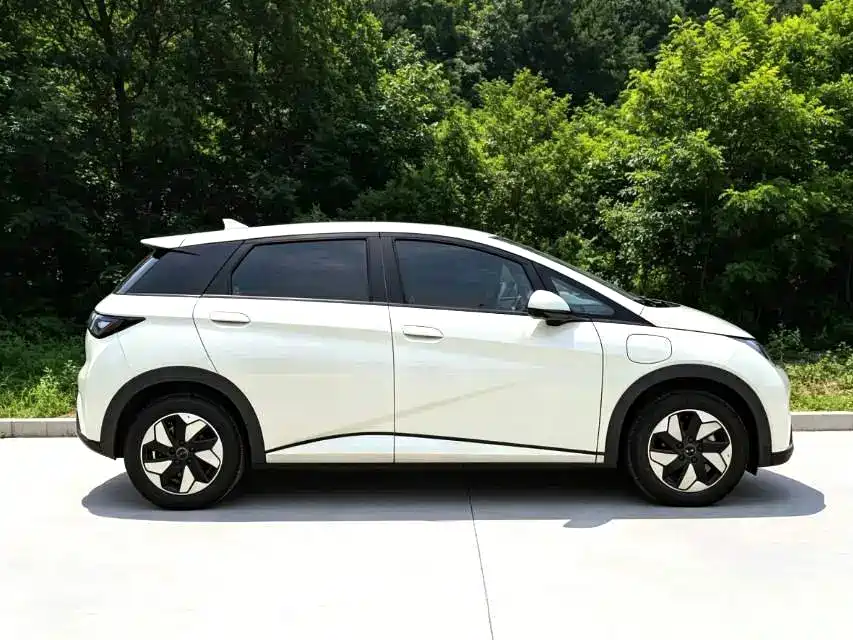 BYD Dolphin — миниатюра 16
